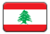 Lebanese Flag