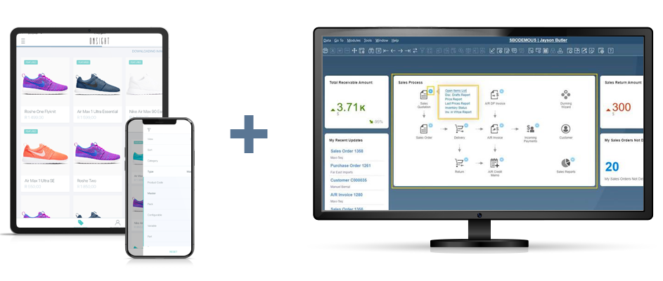 Onsight and SAP Business One screens