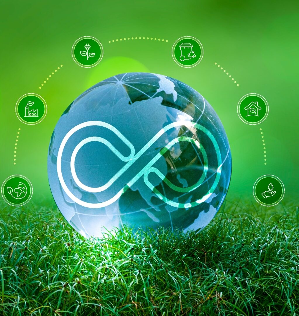 Circularity in the B2B industry: challenges and opportunities